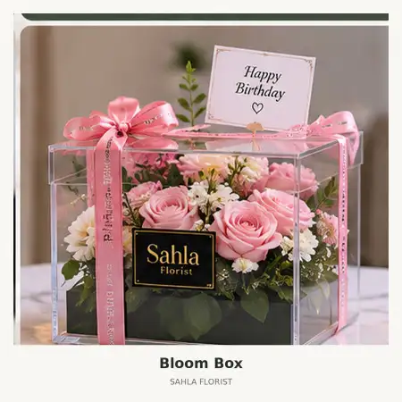 Bloom Box Lombok Timur
